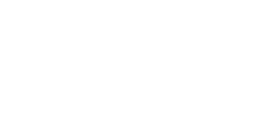  Dehdo - André Nogueira Hübler
